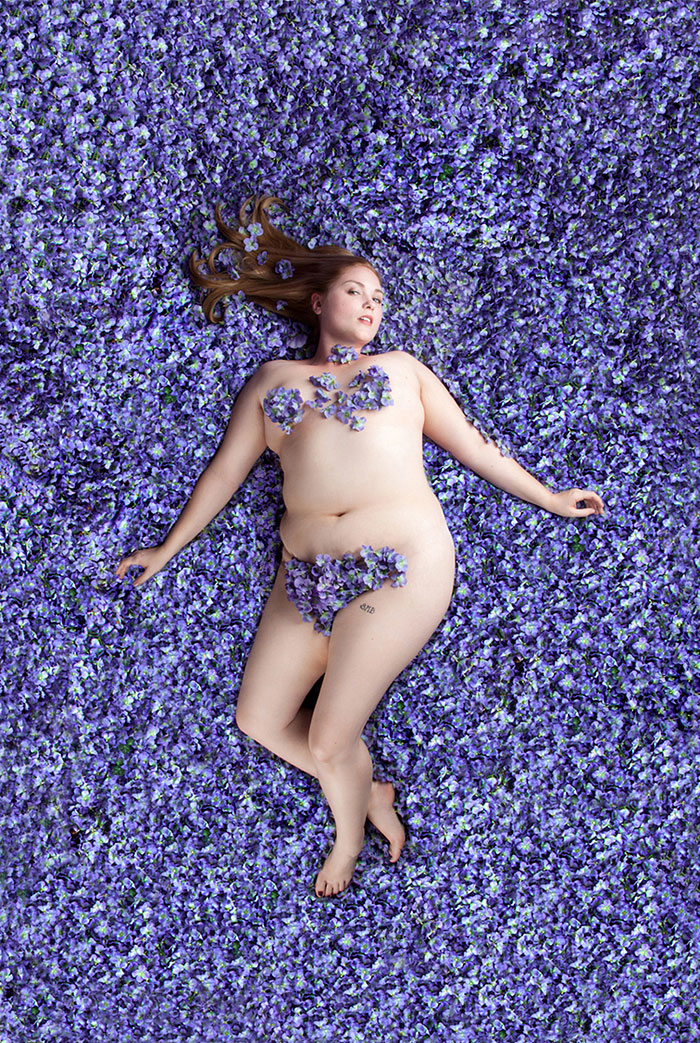 American Beauty by Carey Fruth