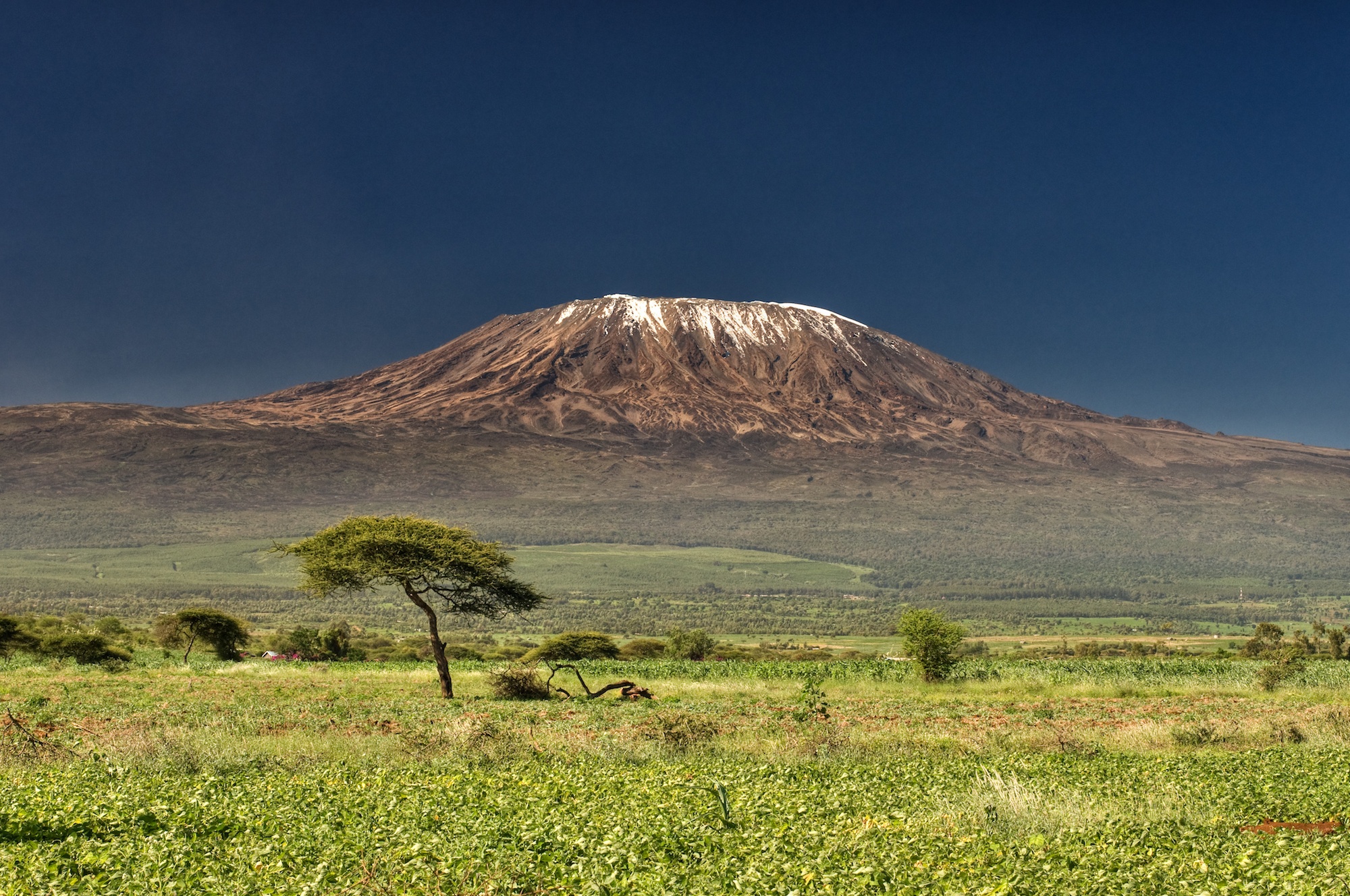 Самые высокие африки. Гора Килиманджаро. Танзания вулкан Килиманджаро. Гора Килиманджаро в Танзании, Африка. Гора в Кении Килиманджаро.